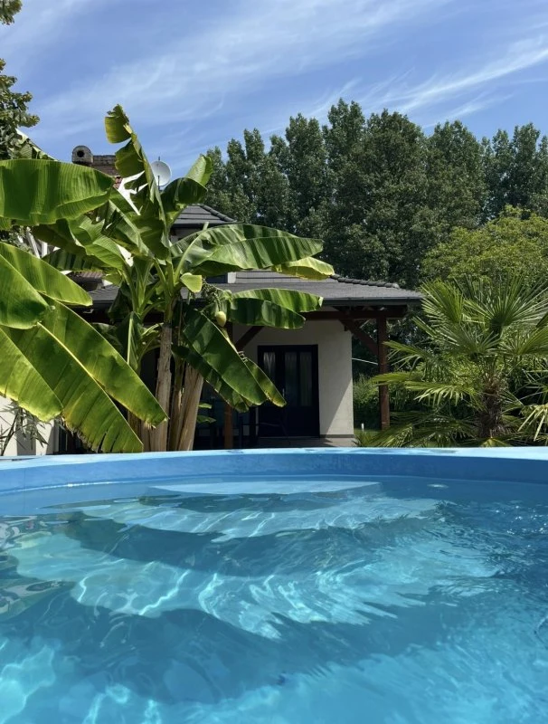 Banán- és pálmafákkal körülölelt, hangulatos mediterrán kert a vízparton