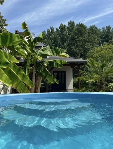 Banán- és pálmafákkal körülölelt, hangulatos mediterrán kert a vízparton