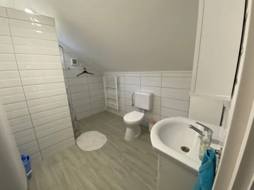 A külön bejáratú apartman fürdőszobája tusolóval