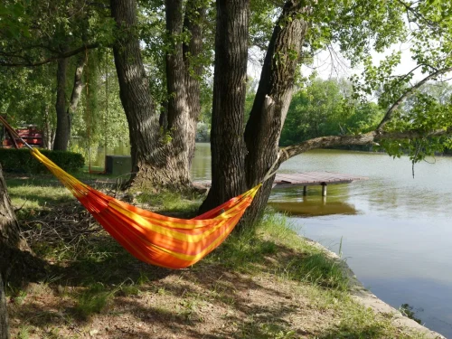 A nyaraló stégje, vízpartja