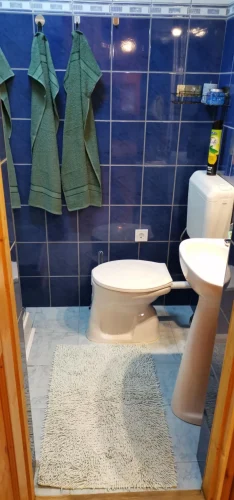 WC a zuhanyzós fürdőszobában