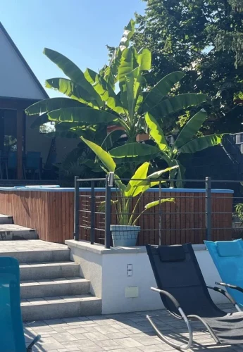 Napozóágyak a kiépített vízparton, lépcsővel a medencéhez