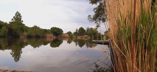 Kilátás a stégről