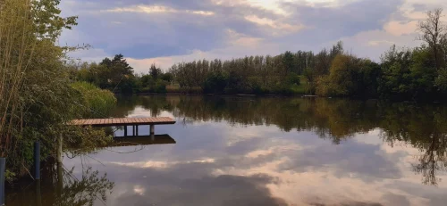 Nyugodt környezet, a horgászat kiváló szintere