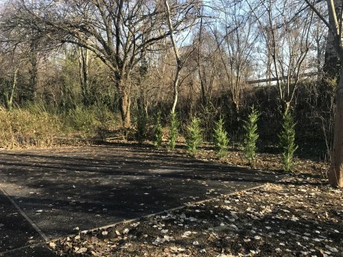 Betonozott parkoló a nyaraló előtt